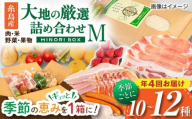 【全4回定期便 令和7年産新米】糸島産 肉 米 野菜 果物 厳選詰め合わせ MINORI BOX Mサイズ【季節ごとに年4回お届け】 糸島市 / emma.Inc / 米 肉 野菜 果物 詰め合わせ [AOP002]