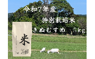 鳥取県産特別栽培米「きぬむすめ」　令和７年産米