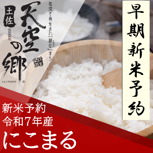 【新米予約】令和7年産土佐天空の郷 にこまる 10kg 2010年・2016年 お米日本一コンテスト inしずおか 特別最高金賞受賞の棚田米 2118310 - 高知県本山町