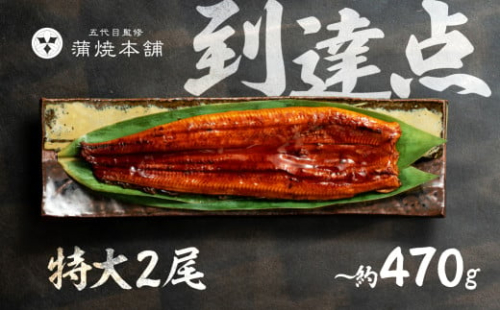 ふっくら肉厚！国産うなぎ 蒲焼 特大 2尾 老舗 国産うなぎ セット 詰め合わせ 蒲焼 ウナギ うなぎ unagi 鰻