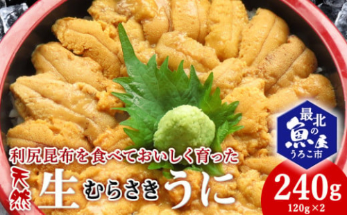 利尻昆布を食べておいしく育った「生むらさきうに」240g 2118399 - 北海道稚内市