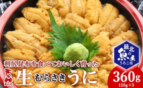 利尻昆布を食べておいしく育った「生むらさきうに」360g 2118400 - 北海道稚内市