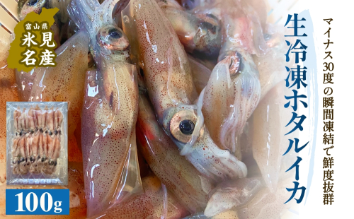 生冷凍ホタルイカ（凍眠） 100g 富山県 氷見市 ほたるいか しゃぶしゃぶ 冷凍 2118568 - 富山県氷見市