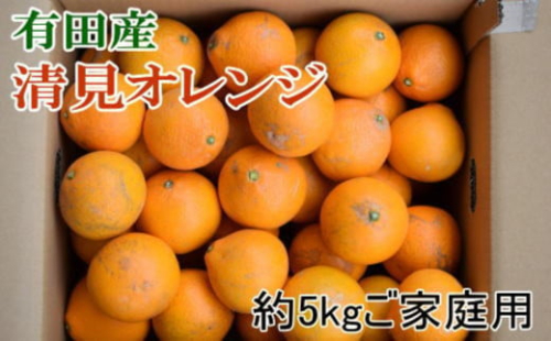 ［濃厚］有田産清見オレンジ約5kg(M～3Lサイズおまかせ、または混合)ご家庭用★2026年2月中旬頃より順次発送［TM211］ 2118570 - 和歌山県上富田町