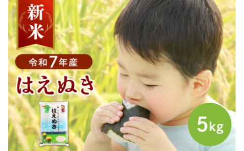 【令和7年産米】※選べる配送時期※ はえぬき5kg 山形県産 【JAさがえ西村山】 2118571 - 山形県河北町