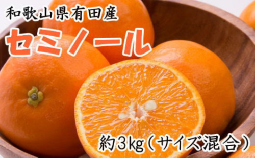 ［濃厚オレンジ］和歌山有田産セミノール約3kg(サイズ混合 秀品)★2026年4月中旬頃より順次発送［TM212］ 2118572 - 和歌山県上富田町