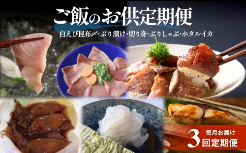 ＜3回定期便＞ご飯のお供定期便 富山県 氷見市 白エビぶり ほたるいか 冷凍 おかず 2118625 - 富山県氷見市