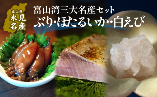 富山湾三大名産ぶり・ほたるいか・白えびのセット 富山県 氷見市 白エビぶり ほたるいか 冷凍 おかず 2118635 - 富山県氷見市