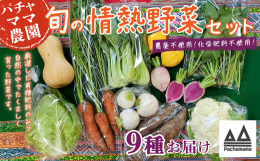 食べごろの旬のお野菜を発送当日に土付き又は軽く洗い発送します。スタンダードのお野菜やスーパーなどであまり見かけないお野菜などを組み合わせでのセットで、簡単な調理法、野菜の特長などの案内も添えています。