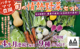 食べごろの旬のお野菜を発送当日に土付き又は軽く洗い発送します。スタンダードのお野菜やスーパーなどであまり見かけないお野菜などを組み合わせでのセットで、簡単な調理法、野菜の特長などの案内も添えています。