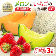 ※期間限定※【3ヶ月定期便】メロンといちごの定期便Vol.1 【 川南町産 くだもの メロン いちご イチゴ  】