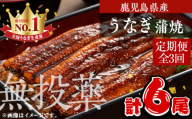 ＜定期便・全3回＞鹿児島県産うなぎ蒲焼 (1尾あたり136g～155g×2尾×3回、タレ・山椒付き) 鰻 ウナギ 国産【西日本養鰻】T46