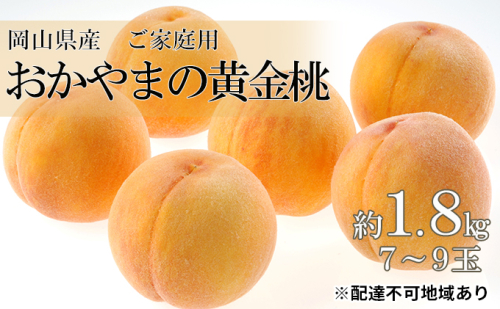 桃 2025年 先行予約 ご家庭用 おかやま の 黄金桃 約1.8kg（7～9玉） 岡山県 フルーツ もも 桃 モモ ピーチ 人気 新鮮 フルーツ 桃 訳あり くだもの 桃 もも 果物 フルーツ 桃 もも 2119307 - 岡山県高梁市