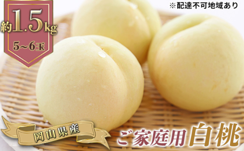 桃 2025年 先行予約 ご家庭用 白桃(晩生種)5～6玉 合計約1.5kg もも モモ 岡山県産 国産 フルーツ 果物 ギフト 2119308 - 岡山県高梁市