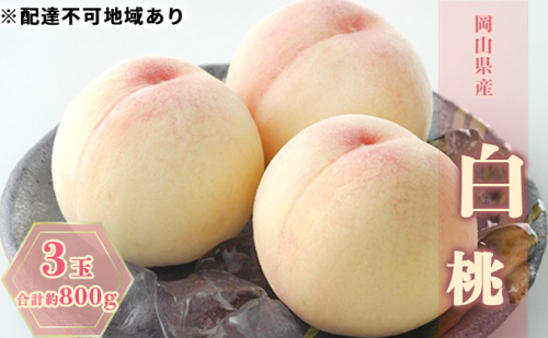 桃 2025年 先行予約 白桃 3玉 合計約800g もも モモ 岡山県産 国産 フルーツ 果物 ギフト 2119313 - 岡山県高梁市
