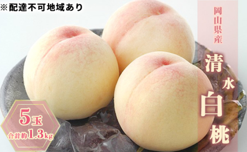 桃 2025年 先行予約 清水白桃 5玉 合計約1.3kg もも モモ 岡山県産 国産 フルーツ 果物 ギフト 2119316 - 岡山県高梁市