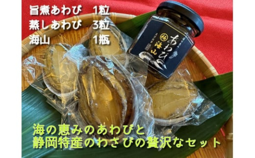 海山セット　自宅用【配送不可：北海道・沖縄・離島（一部省く）】◆ 2119392 - 静岡県静岡市