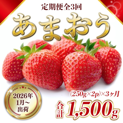 定期便 3ヶ月 福岡県産 あまおう 合計1500g 先行予約 2026年1月より順次発送 いちご イチゴ 苺 果物 3回 ※配送不可：離島 2119395 - 福岡県朝倉市