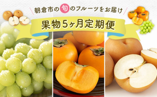 定期便 5ヶ月 果物 先行予約 2025年7月より順次発送 シャインマスカット 梨 柿 果物 ※配送不可：離島 2119397 - 福岡県朝倉市