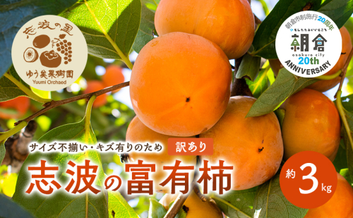 【朝倉市制施行20周年記念企画】  訳あり 志波の富有柿 約3kg 柿 ※配送不可：離島 2119415 - 福岡県朝倉市