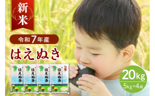 【令和7年産米】※選べる配送時期※ はえぬき20kg（5kg×4袋）山形県産 【JAさがえ西村山】 2119465 - 山形県河北町