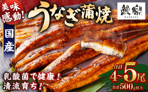 極上鰻！うまい！＜うなぎ 国産 うなぎ蒲焼 4～5尾 計500g以上＞ふるさと納税 うなぎ 高級 長蒲焼 鰻 夏バテ防止 ウナギ 鰻 かば焼き 蒲焼き 丑の日 タレ 宮崎県産 国産 九州産 宮崎県 高鍋町 送料無料 2119467 - 宮崎県高鍋町