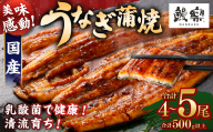 極上鰻！うまい！＜うなぎ 国産 うなぎ蒲焼 4～5尾 計500g以上＞ふるさと納税 うなぎ 高級 長蒲焼 鰻 夏バテ防止 ウナギ 鰻 かば焼き 蒲焼き 丑の日 タレ 宮崎県産 国産 九州産 宮崎県 高鍋町 送料無料