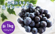品種おまかせ 生ブルーベリー 1kg 直送 新鮮 朝食 ヨーグルト 冷蔵 フルーツ 果物 くだもの とれたて kanda002