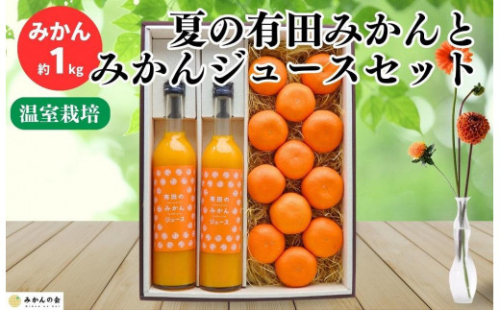 夏の有田みかん (約1kg) と有田のみかんジュース（500ml×2本）和歌山県産 産地直送 211962 - 和歌山県有田川町