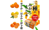 ＜2026年2月頃発送＞ 【先行予約】 【三種のみかん食べ比べ箱】せとか・はるか・宮内伊予柑 （家庭用）約2.8kg　食べくらべ 愛媛 みかん 詰め合わせ セット 先行予約 蜜柑 柑橘 果物 くだもの フルーツ お取り寄せ グルメ 期間限定 数量限定 人気 おすすめ 愛媛県 松山市