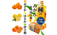 ＜2026年2月頃発送＞ 【先行予約】 【三種のみかん食べ比べ箱】せとか・はるか・宮内伊予柑 （良品）約2.8kg　食べくらべ 愛媛 みかん 詰め合わせ セット 先行予約 蜜柑 柑橘 果物 くだもの フルーツ お取り寄せ グルメ 期間限定 数量限定 人気 おすすめ 愛媛県 松山市