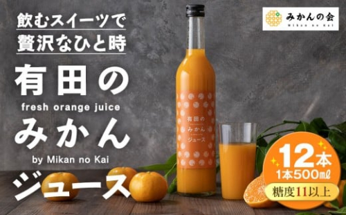 有田のみかんジュース 500ml×12本  和歌山県産 有田みかん使用 無添加 100％ ストレート 211964 - 和歌山県有田川町