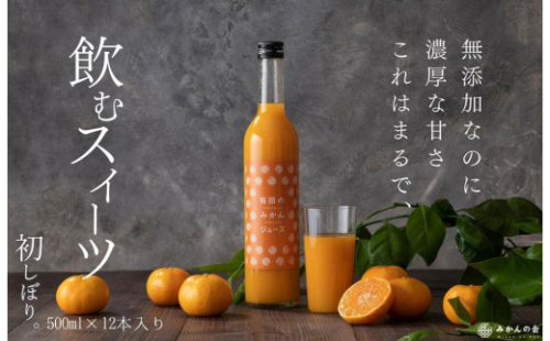 有田のみかんジュース 500ml×12本  和歌山県産 有田みかん使用 無添加 100％ ストレート 211964 - 和歌山県有田川町