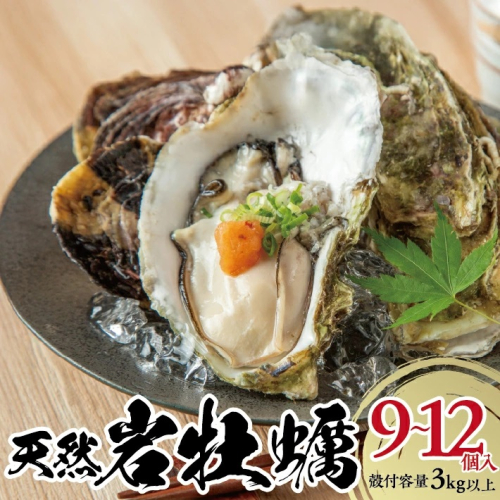 SE0387　天然岩牡蠣　計3kg以上(9～12個入) 2119668 - 山形県酒田市