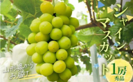 シャインマスカット 1房 約900g 以上 山形県産 秀品 ギフト箱入り [令和7年9月下旬発送]