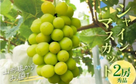 シャインマスカット 約900g前後×2房 ギフト箱入り 秀品 山形県産 [令和7年9月下旬発送]