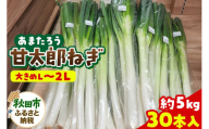 甘太郎ねぎ 約5kg（1箱30本入り）