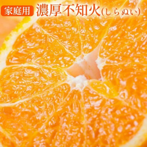 【先行予約】【農家直送】濃厚不知火（ご家庭用）約3kg ※2026年1月下旬～3月下旬頃に順次発送予定 ※沖縄・離島への配送不可 2119705 - 和歌山県美浜町