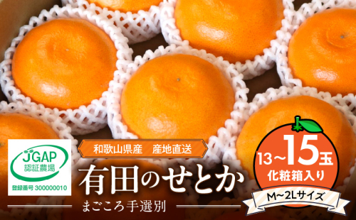 ZE6497_【2026年先行予約】【まごころ手選別】　せとか　化粧箱入り　(13～15玉) 2119768 - 和歌山県湯浅町