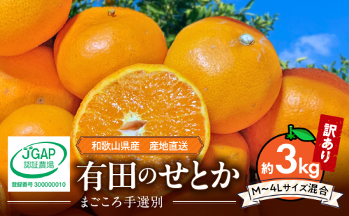 ZE6498_【2026年先行予約】【まごころ手選別】　せとか　約3kg　家庭用 2119770 - 和歌山県湯浅町