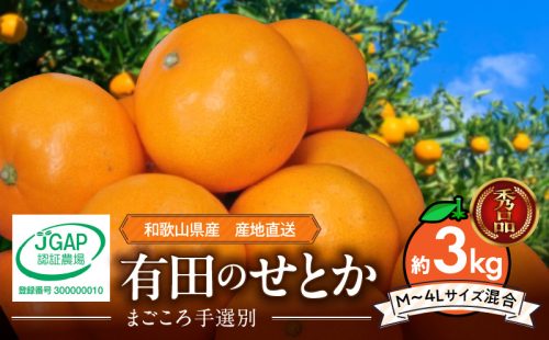 ZE6499_【2026年先行予約】【まごころ手選別】　せとか　約3kg　秀品 2119771 - 和歌山県湯浅町