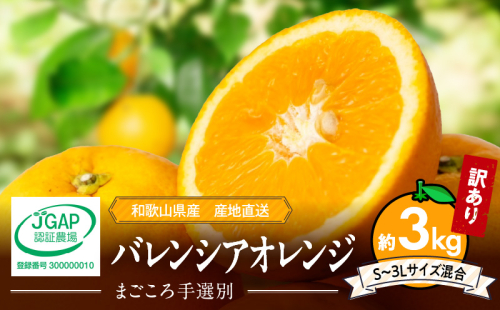 ZE6508_【2026年先行予約】和歌山県産 バレンシアオレンジ 3kg 家庭用 2119772 - 和歌山県湯浅町