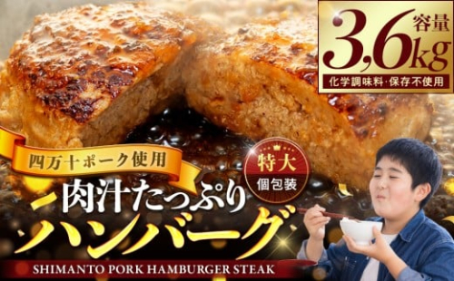 ハンバーグ 四万十ポーク 入り 3.6kg ( 200g × 18個 ) 冷凍 真空 小分け 個包装 肉汁 たっぷり 大容量 大きめ 合挽き 牛肉 豚肉 保存料 不使用 ビーフ ポーク 合いびき肉 挽肉 ジューシー お弁当 おかず 惣菜 晩ごはん 贅沢 ギフト 贈り物 贈答  2119843 - 高知県須崎市