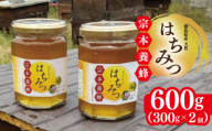 はちみつ 国産 300g 2個 計600g 天然 蜂蜜 純粋 蜂蜜ギフト 健康食品 美容 食品 無添加 栄養豊富 生はちみつ ハチミツ ギフト 贈答 人気 はちみつ お取り寄せ グルメ ヨーグルト パン スイーツ 徳島県 吉野川市