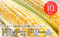 農家直送！とうもろこし　ドルチェドリーム　10本箱詰め　【11218-0925】