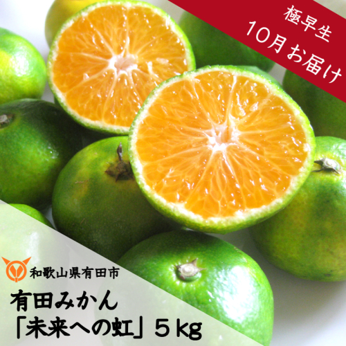 1035.【10月お届け】有田みかん「未来への虹」（5kg）(A1035-1) 2120073 - 和歌山県有田市