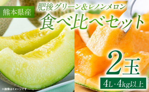 肥後グリーンメロン＆レノンメロン 食べ比べセット 合計2玉 4L以上（合計4kg以上） 青果物 くだもの フルーツ 2120074 - 熊本県八代市