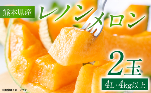 レノンメロン 2玉 4L以上（合計4kg以上） 2120075 - 熊本県八代市