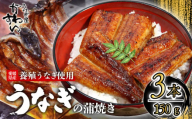 【容量選択可】〈うなぎ屋かわすい〉愛媛県松山市養殖うなぎを使用！うなぎ蒲焼 3本 (1尾：150～169g)  ｜うなぎ ウナギ 鰻 蒲焼き 国産 お取り寄せ グルメ ふるさと納税  簡単調理 土用丑の日 ギフト 贈り物 お中元 お歳暮 母の日 父の日  かわすい 川口水産 愛媛県 松山市