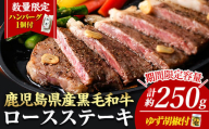 ＜14営業日以内に発送！＞＜1枚・計約250g＋ハンバーグ1個＞4等級以上！鹿児島県産黒毛和牛ロースステーキ1枚セット 黒毛和牛 ステーキ 冷凍【ナンチク】B1-00